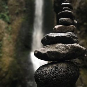 Meet your Posher, Jack